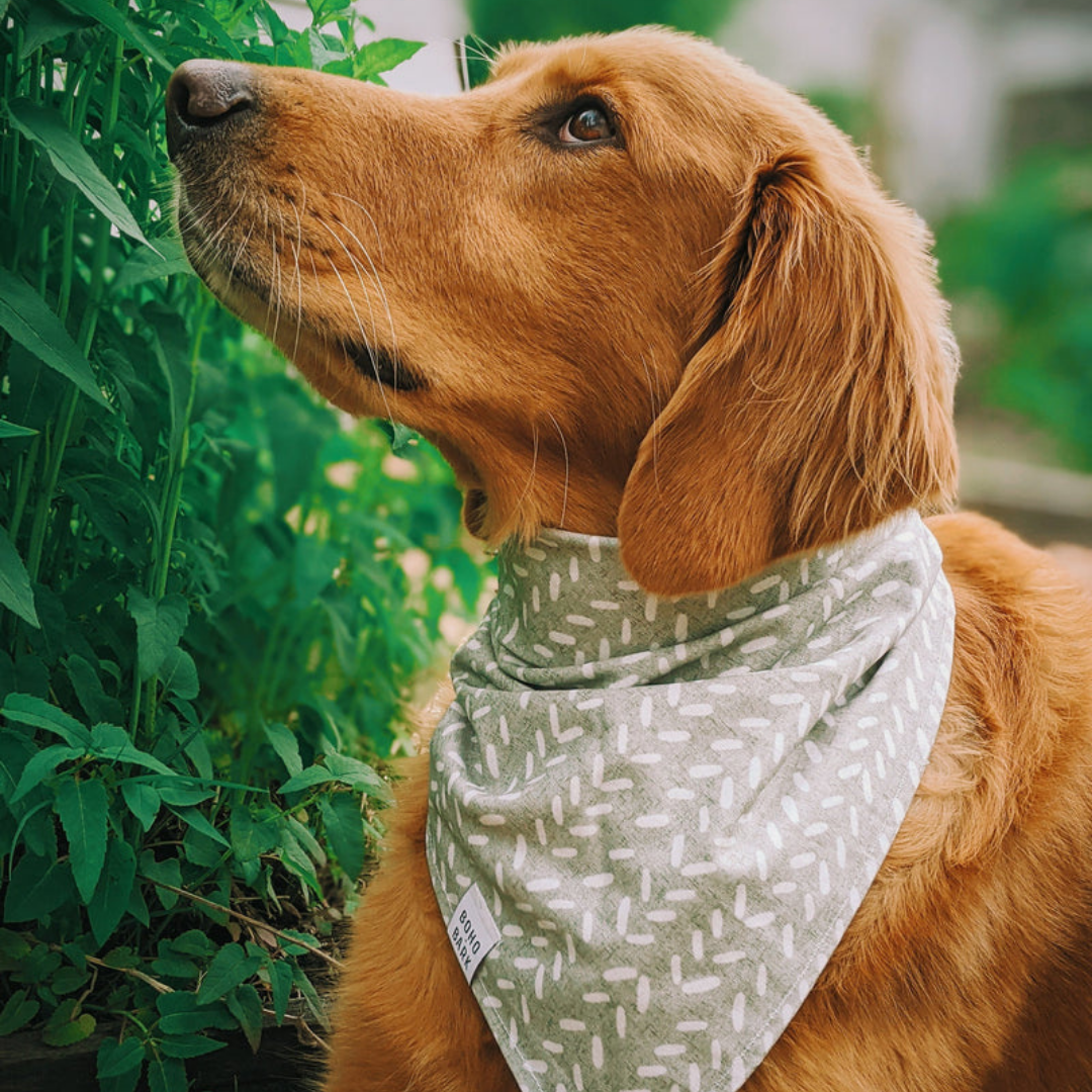 Handmade best sale dog bandanas