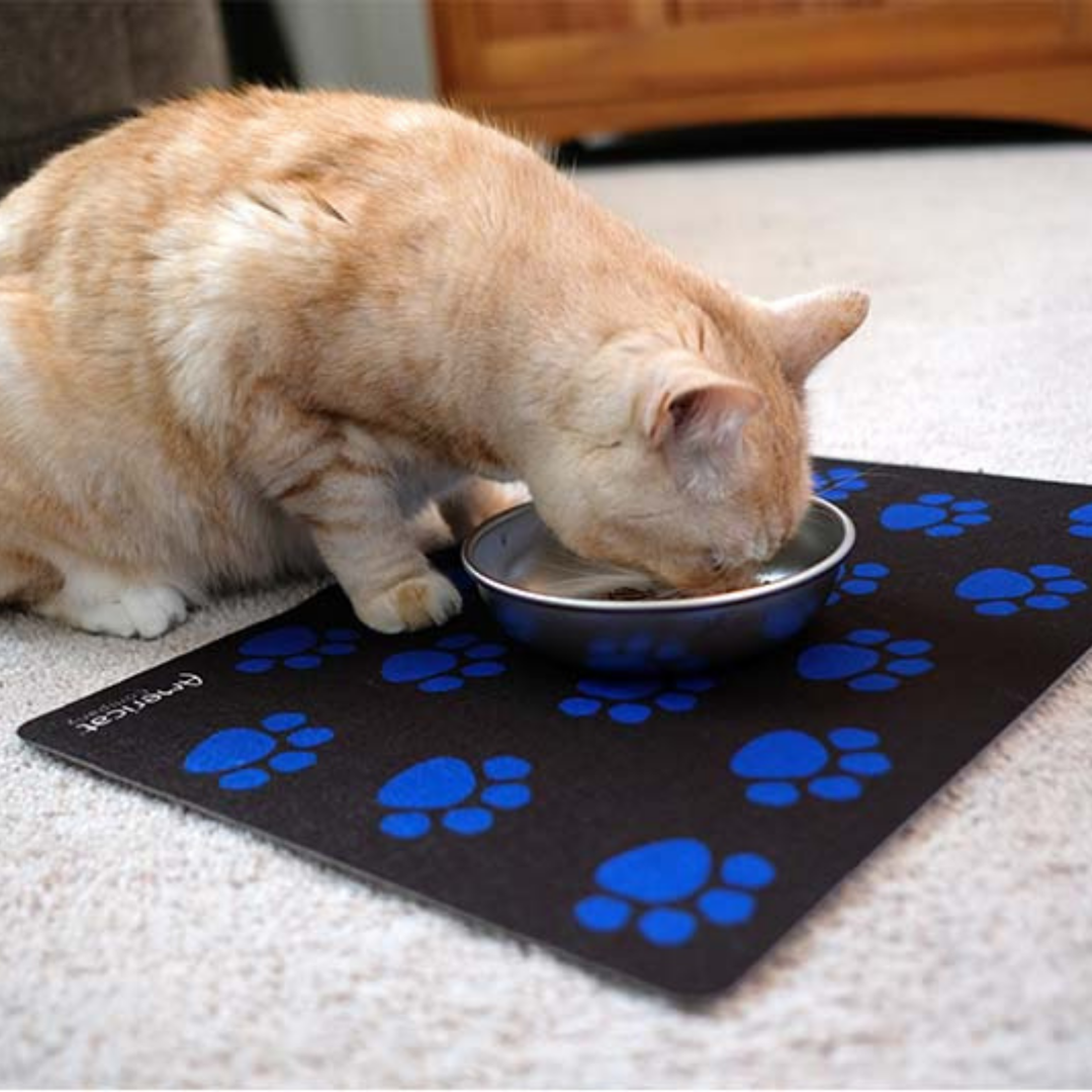 Eco Friendly Cat Food Mat - Cat Eating from food dish on placemat