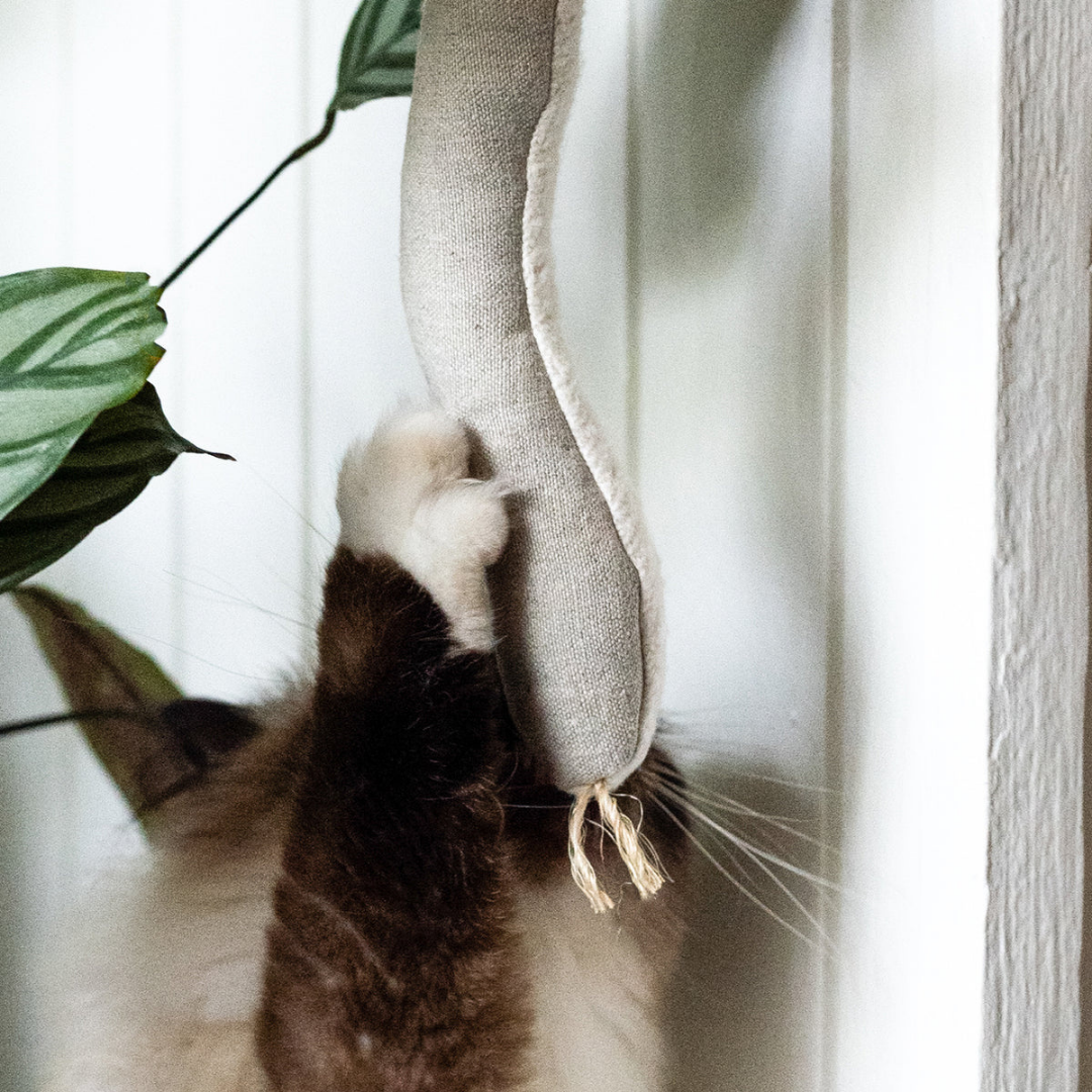 Cat paws playing with snake organic cat toy